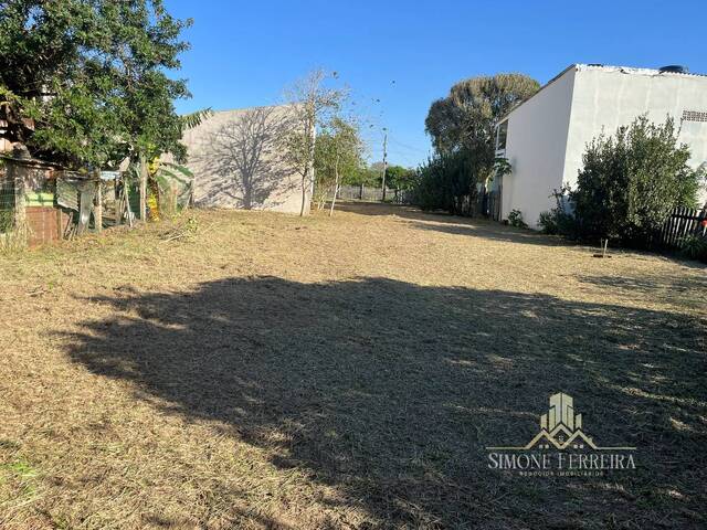 #C1004 - Terreno para Venda em Terra de Areia - RS - 3